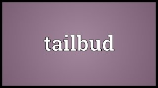 Tailbud Meaning [upl. by Vedis]