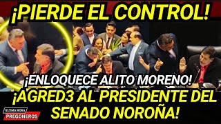 ¡PIERDE EL CONTROL LO DEBEN EXPULSAR ALITO ENLOQUECE Y AGRED3 AL PRESIDENTE DEL SENADO NOROÑA [upl. by Lustig]