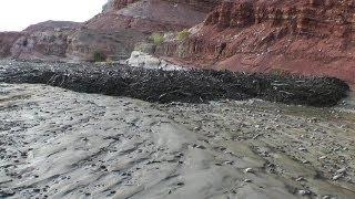 Amazing Flash Flood  Debris Flow Southern Utah HD [upl. by Fellows]