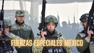 Fuerzas Especiales del Ejército Mexicano refuerzan seguridad en Tamaulipas [upl. by Refotsirhc702]