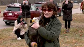 2024 Eagle Release Video for Bald Watching Eagle Days [upl. by Hephzipah]