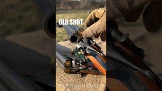 DOUBLE SHOTGUN shot gun asmr usa hunting rdr2 stalker bullet buckshot shooting 12gauge [upl. by Zoba]