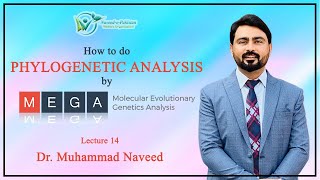 MEGA  How to construct Phylogenetic Tree  Lecture 14  Dr Muhammad Naveed [upl. by Nerred548]