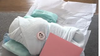 Aliyahs Playborn World Reborn Baby Box Opening [upl. by Aillimac]