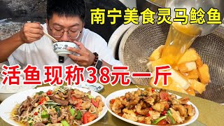 南宁特色美食灵马鲶鱼，活鱼现称38块一斤，据说是广西老司机的美好回忆麦总去哪吃 [upl. by Elysee303]