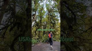 Hoh Rainforest 🌲 Most Beautiful Places to Visit in the World 😍 Olympic National Park Washington [upl. by Berke367]