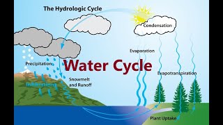 WATER CYCLE  EVAPORATION  TRANSPIRATION  CONDENSATION  PRECIPITATION  INFILTRATION [upl. by Adriell]