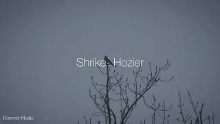 Shrike Hozier Lyrics [upl. by Woods]