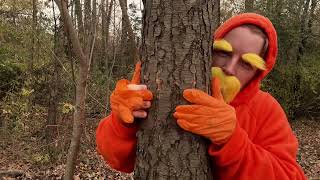 ASMR Lorax  Giving the Trees a Massage [upl. by Hernandez]