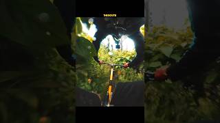 MTB downhill⚡️ mtbtrails mtbdownhill [upl. by Jedidiah]