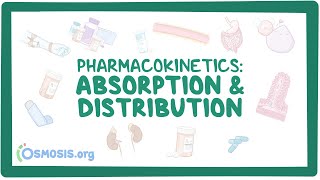 Pharmacokinetics Drug absorption and distribution [upl. by Nellak]