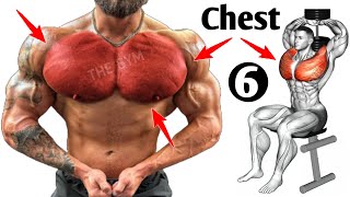 6 Best Chest Exercises For Bigger Pecs At Gym [upl. by Aviva458]