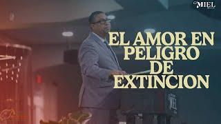 El Amor en Peligro de Extinción  Pastor Carlos Monroy  061524 [upl. by Marler900]