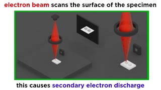 Electron Microscopy TEM and SEM [upl. by Nonnerb]