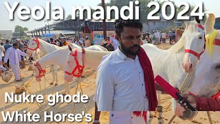 8 October 2024 Dussehra mandi Yeola ghoda bazar  Sonu bhai ke Nukre ghode in yeola horse market [upl. by Evoy]