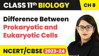 Difference Between Prokaryotic and Eukaryotic Cells  Cell The Unit of Life  Class 11 Biology [upl. by Germayne540]