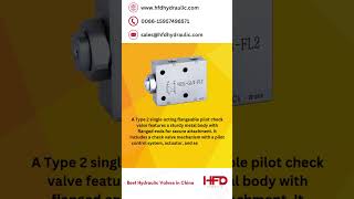 VRSLFL2 – TYPE 2 SINGLE ACTING FLANGEABLE PILOT CHECK VALVE  HFD Hydraulic hydraulicvalves [upl. by Assyram228]