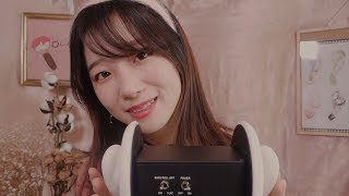 Doing Your Ear Makeup👂💕 ASMR 3dio Ear Makeup Artist [upl. by Jan]