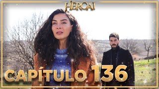 Hercai  Capítulo 136 [upl. by Reg]