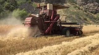 Palouse Heritage Harvest 2018 [upl. by Eornom]