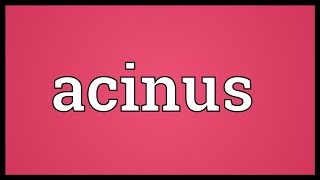 Acinus Meaning [upl. by Annagroeg527]