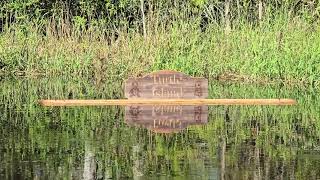 Turtle Island turtle nature animal cnc cncrouter woodworking diy diyprojects wood pondlife [upl. by Crosley]