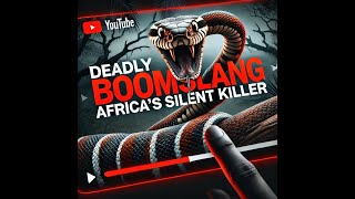 Boomslang Africas Silent Killer [upl. by Aleik]