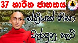 හාරිත ජාතකය  ස්ත‍්‍රියක් නිසා වැරදුනු හැටි  VenAnkumbure Amithadeepa Thero [upl. by Yecnahc]