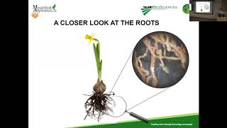 Jozsef Racsko The use of mycorrhizal fungi in horticulture [upl. by Trey]