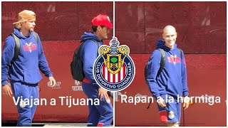 🚨Noticias Chivas  Raparon a la Hormiga  Chivas viaja a Tijuana [upl. by Felicio]