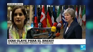 Informe desde Bruselas días claves para el Brexit [upl. by Ahsiaa]