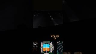 ✈️Boeing 737900ER 🛬Edynburg EGPH STRONG WIND mfs2020 aviation microsoftflightsimulator games [upl. by Itsur]