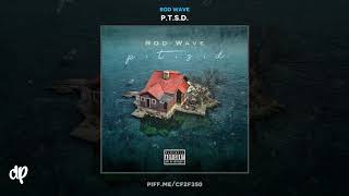 Rod Wave  PTSD PTSD [upl. by Ihtac]