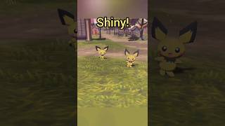 Which Pichu Is Shiny In Pokemon Legends Arceus pokemon shinypokemon pla [upl. by Randee]