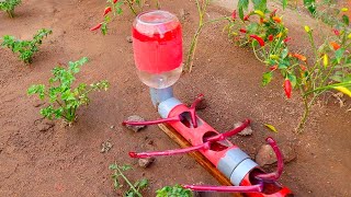 Cómo hacer Riego Por Goteo automático para chilis tomates [upl. by Mmada]