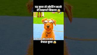 स्केटिंग का बादशाह 😎😱  short anime movie cartoon [upl. by Liamsi39]