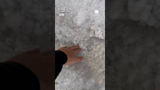 Thats some HAIL Calgary Alberta [upl. by Yrian355]