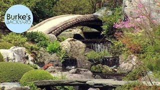 Burkes Backyard in Japan Part 1 Adachi Museum Gardens [upl. by Yelnik]