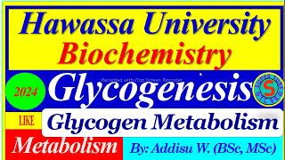 Glycogenesis Glycogen Synthesis  Glycogen Metabolism  carbohydrates metabolism biochemistry [upl. by Jc]