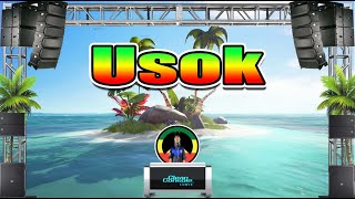 Asin  Usok Rap Reggae Remix Dj Jhanzkie 2021 [upl. by Anima374]