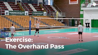 Correct Hand passing in volleyball [upl. by Einot]