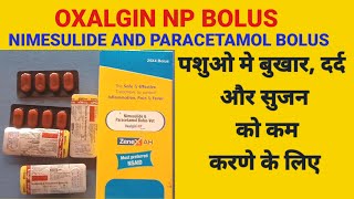 Oxalgin Np Bolus  Nimesulide And Paracetamol Bolus [upl. by Noreht]