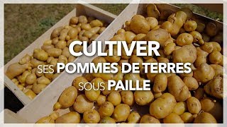 Comment cultiver ses pommes de terre sous paille [upl. by Millar]