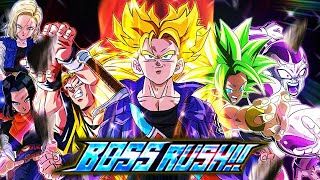 DOKKAN EVENT BOSS RUSH STAGE 19 DBZ Dokkan Battle [upl. by Haidadej]