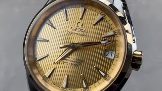 Omega Seamaster Aqua Terra 150M 23120392108001 Omega Watch Review [upl. by Gaston232]