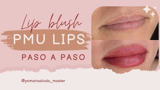 Lip Blush PMU Lips Tutorial Paso a Paso [upl. by Sommers297]