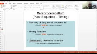 12c LIVE Cerebellar Functions and Clinical Disorders Intention tremor Dysmetria Ataxia MBBS [upl. by Bohs951]