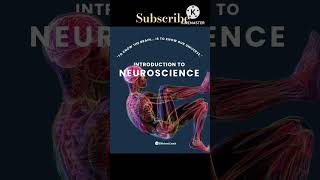 Introduction of the central nervous system psychology function of the central nervous system pns [upl. by Ardnohs]