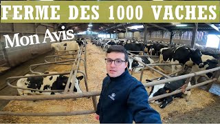 Ferme des 1000 vaches  Mon Avis 👀 [upl. by Madlin676]