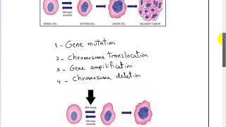 carcinogenesis 1 ONCOGENE DR SAMEH GHAZY [upl. by Ettenwad]